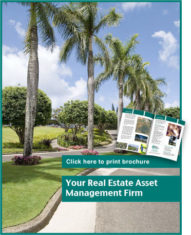 real estate brochure pdf. real estate brochure.